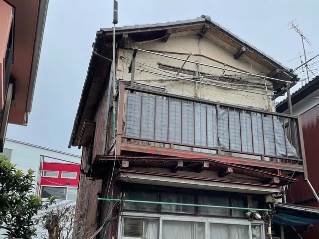 夏ツタ　ツタ取りお任せ下さいませ。サービスの画像