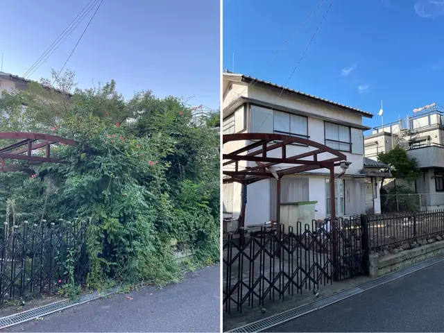 夏ツタ　ツタ取りお任せ下さいませ。サービスの画像