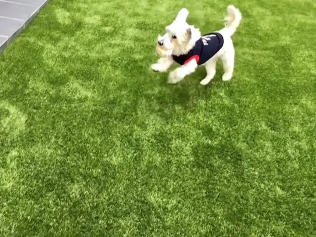 人工芝の施工は実績多数のグリーンデイ広島へ。丁寧な作業で職人が元気よく伺います！サービスの画像