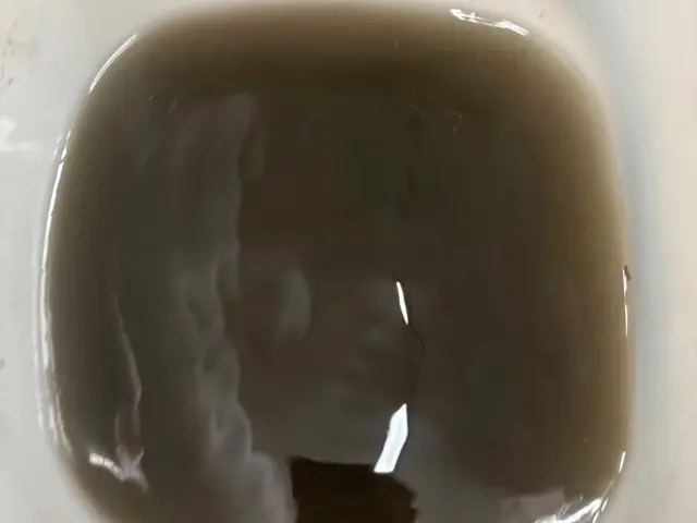 【大手業務経験あり】丁寧さにこだわった高リピート率のサービス！損害保険加入済み◎サービスの画像