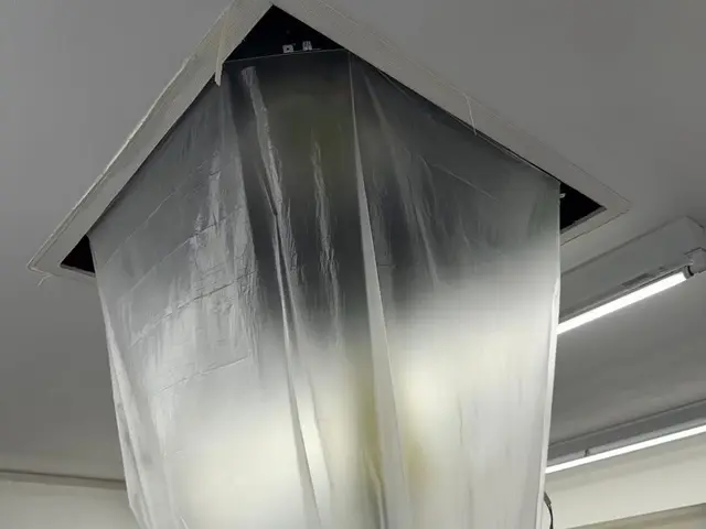 【大手業務経験あり】丁寧さにこだわった高リピート率のサービス！損害保険加入済み◎サービスの画像