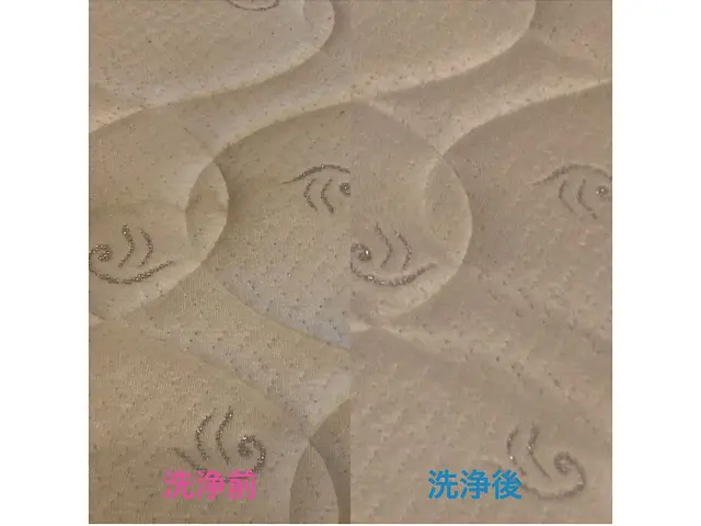専用機材と洗剤でダニやホコリ・汗の汚れをしっかり除去。安心の快適寝具に仕上げますサービスの画像