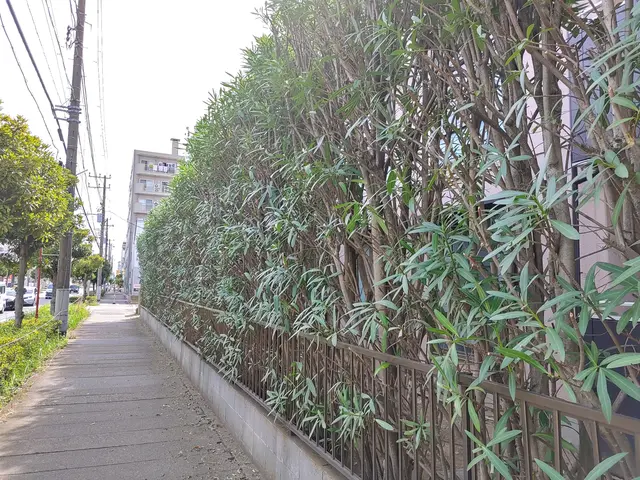 【荒川区】損害保険加入済み！御客様の後納得のいく庭作りを目指しております！サービスの画像