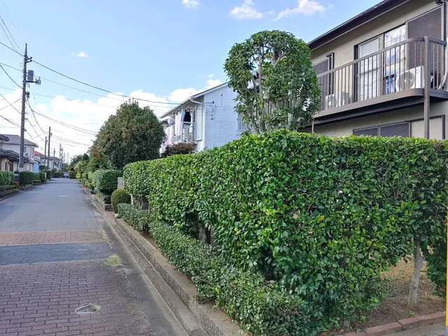 【荒川区】損害保険加入済み！御客様の後納得のいく庭作りを目指しております！サービスの画像