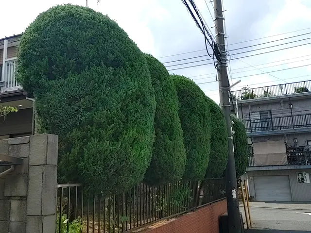 【荒川区】損害保険加入済み！御客様の後納得のいく庭作りを目指しております！サービスの画像