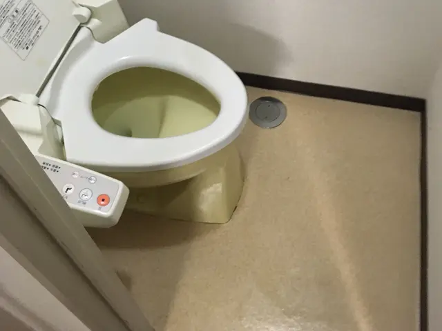 ◎笑顔で対応中◎お掃除歴13年！当社が責任持って作業いたします！サービスの画像