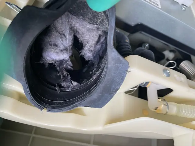 ◉追加料金無し◉20,000円ポッキリ◉洗濯機完全分解洗浄で新品に元通り！！！サービスの画像