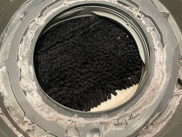 ◉追加料金無し◉20,000円ポッキリ◉洗濯機完全分解洗浄で新品に元通り！！！サービスの画像