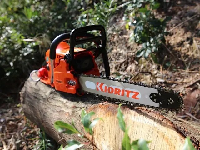 【林業経験豊富】大木の剪定、お任せ下さい！重機が入れない場所の木も承ります。サービスの画像