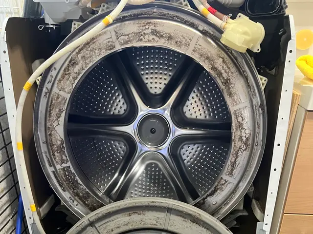 【浜松】完全分解で内部まで徹底洗浄！追加料金なしのドラム式クリーニングサービスの画像