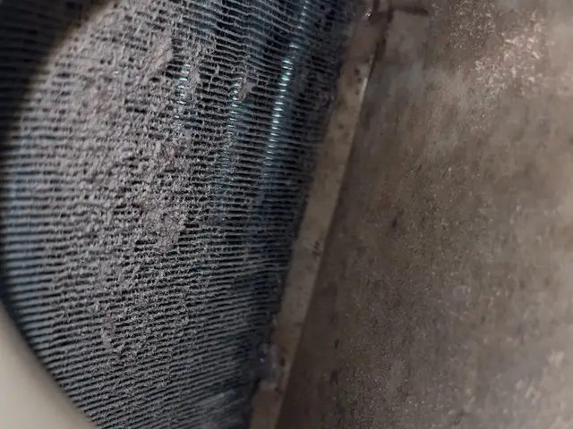 【浜松】完全分解で内部まで徹底洗浄！追加料金なしのドラム式クリーニングサービスの画像