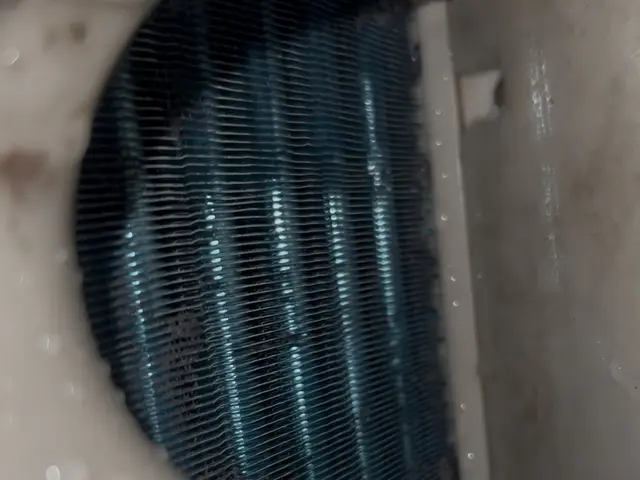 【浜松】完全分解で内部まで徹底洗浄！追加料金なしのドラム式クリーニングサービスの画像