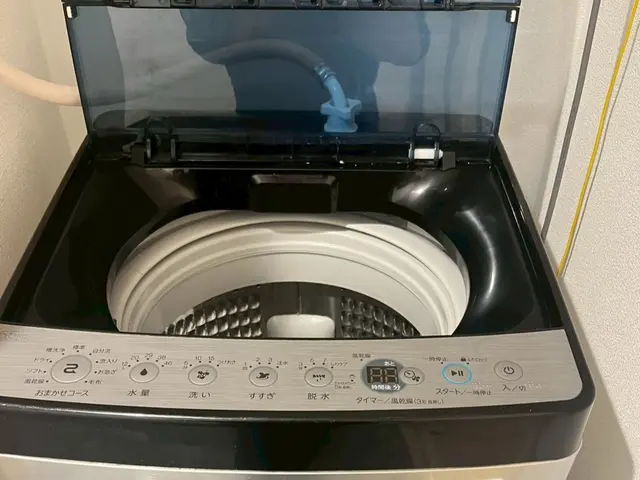 縦型洗濯機分解洗浄サービスの画像