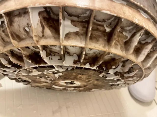 縦型洗濯機分解洗浄サービスの画像