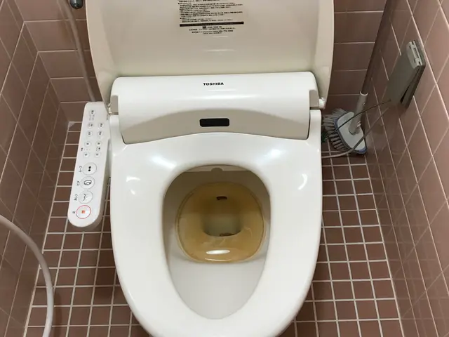 トイレクリーニング。頼んでよかった！と思われるサービスをご提供します！サービスの画像