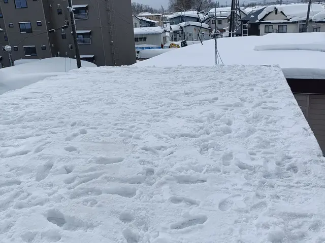 雪でお困りなら当店にお任せを！！空き家もご対応可能です！サービスの画像