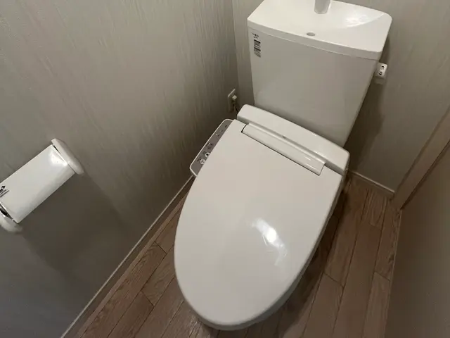 硬い尿石、見えない汚れをスッキリ綺麗にします！サービスの画像