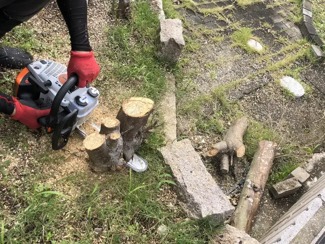 【年中無休】土日祝もご予約大歓迎◆大坂府泉州中心・地域密着店舗◆サービスの画像