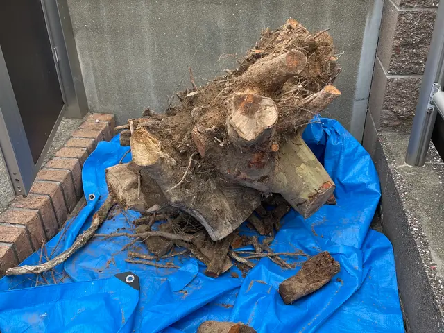 11月受付しています★お庭じまい★お庭のことお客様に寄り添い一緒に作業いたしますサービスの画像