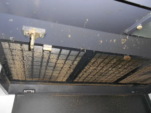 カレンダー確認！★油汚れも綺麗に！★プロの技術で快適にサービスの画像