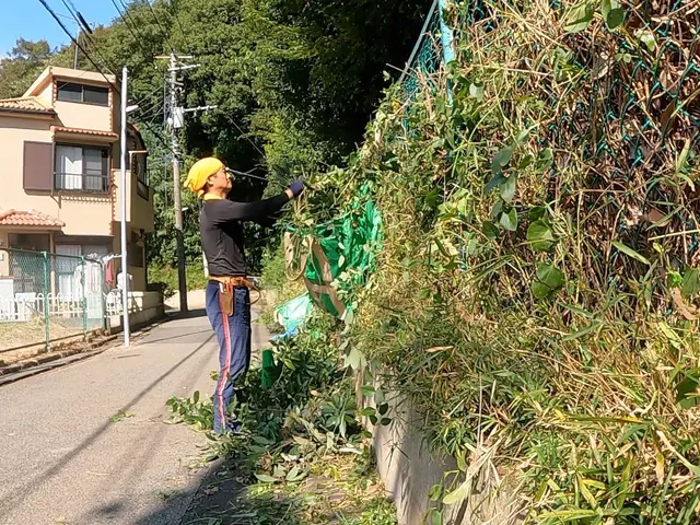 【4,950円/10㎡〜】草刈りさせて頂きます！植木鉢や庭石がある場合は鎌を使用サービスの画像