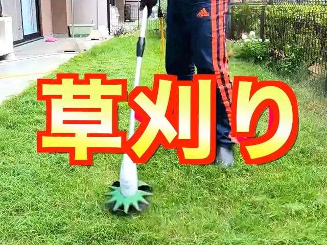【4,950円/10㎡〜】草刈りさせて頂きます！植木鉢や庭石がある場合は鎌を使用サービスの画像