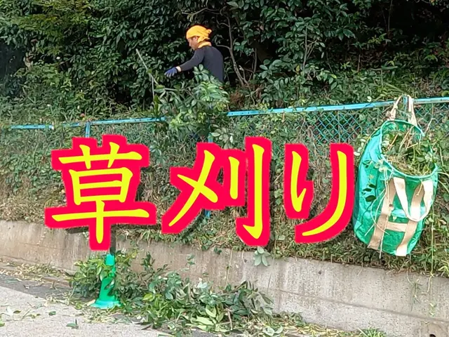 【4,950円/10㎡〜】草刈りさせて頂きます！植木鉢や庭石がある場合は鎌を使用サービスの画像