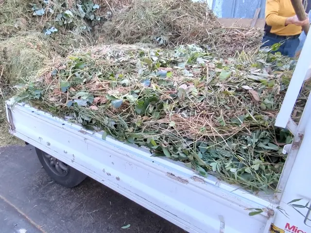 【4,950円/10㎡〜】草刈りさせて頂きます！植木鉢や庭石がある場合は鎌を使用サービスの画像