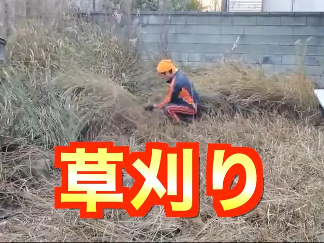 【4,950円/10㎡〜】草刈りさせて頂きます！植木鉢や庭石がある場合は鎌を使用サービスの画像