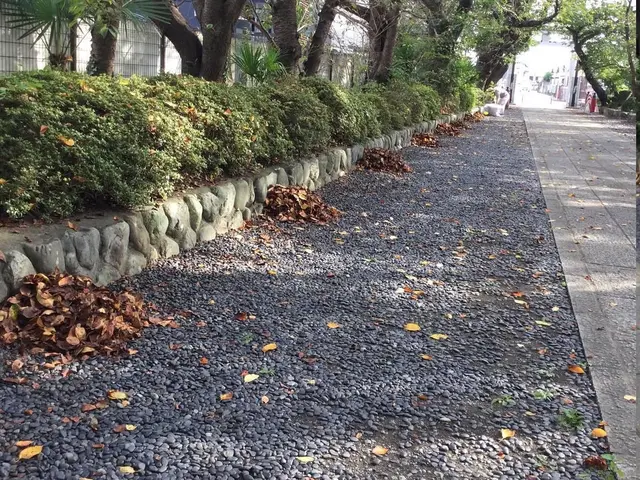 ☆日曜日限定価格☆落ち葉のシーズン！速くて安い、これが庭師のクリーニングサービスの画像