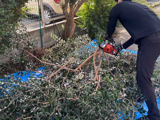 伸びきった植え込みや生垣をスッキリ綺麗にいたします！◎お見積もり・ご相談無料◎サービスの画像