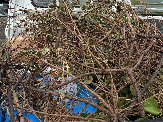 伸びきった植え込みや生垣をスッキリ綺麗にいたします！◎お見積もり・ご相談無料◎サービスの画像