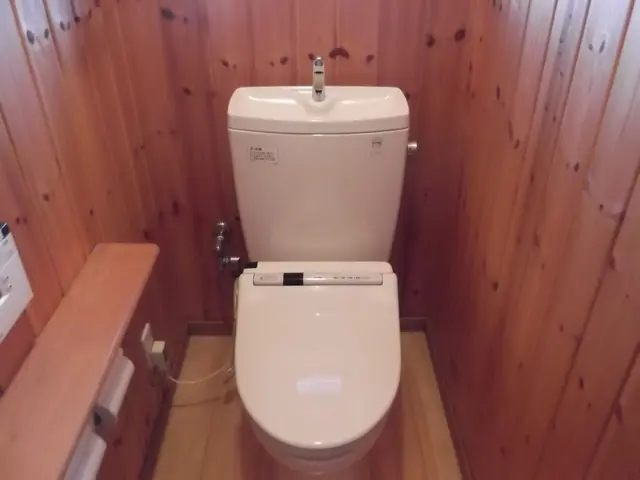 清潔・ピカピカトイレ！エコ洗剤も使用！日本ハウスクリーニング協会会員。サービスの画像