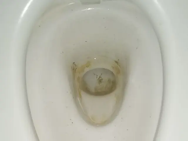 清潔・ピカピカトイレ！エコ洗剤も使用！日本ハウスクリーニング協会会員。サービスの画像