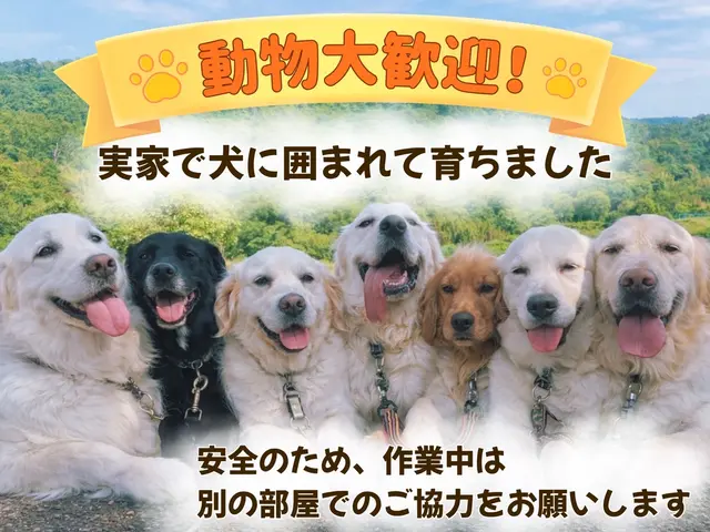 【Panasonic専門】乾燥不良・時間長い改善◎ヒートポンプ洗浄｜修理相談OKサービスの画像