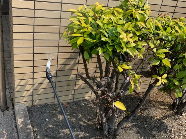 【大阪市から出向】実績経験豊富なスタッフが対応致します。サービスの画像