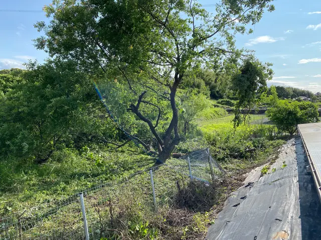 不動産管理会社やビル管理会社、自動車ディーラーなど、多くの法人から選ばれていますサービスの画像