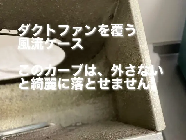 油をと水を結合させて落とすので、塗装が剥げにくい高品質の換気扇クリーニングサービスの画像