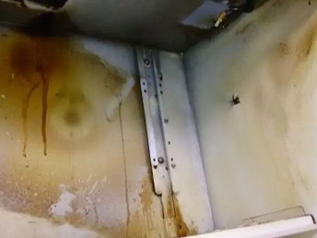 自然派ナチュラル＆セーフティー　換気扇クリーニング（プロペラタイプ）サービスの画像