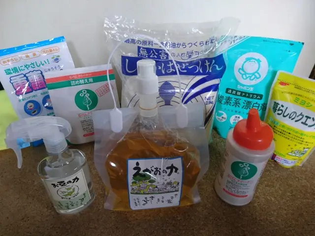 自然派ナチュラル＆セーフティー　換気扇クリーニング（プロペラタイプ）サービスの画像