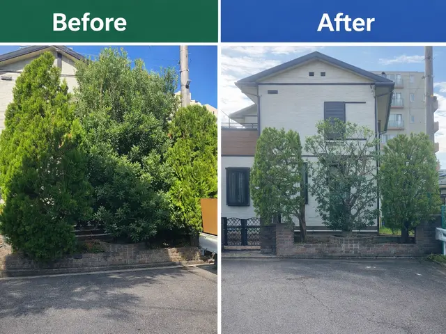 50年大切にされた木も託される信頼！電動工具で騒音・排気ガスゼロの丁寧な庭木剪定サービスの画像