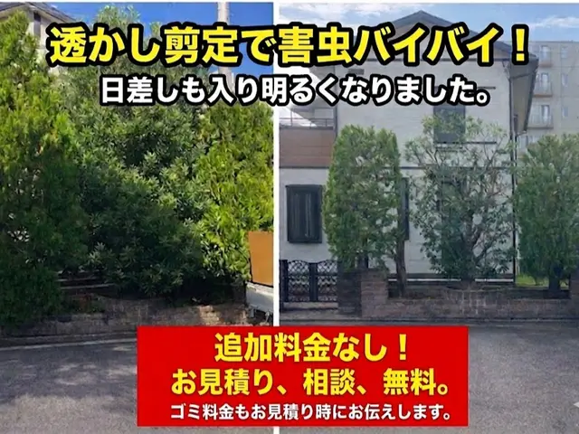 50年大切にされた木も託される信頼！電動工具で騒音・排気ガスゼロの丁寧な庭木剪定サービスの画像