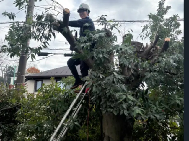 50年大切にされた木も託される信頼！電動工具で騒音・排気ガスゼロの丁寧な庭木剪定サービスの画像