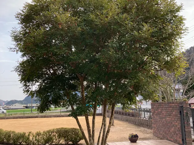 【職人歴24年の実績】予約から施工まで自社対応・アフターフォローも万全サービスの画像