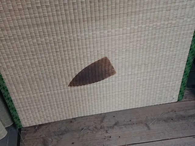 【創業100年の歴史】完全自社施工・家具の移動不要・一級技能士がお仕事します。サービスの画像