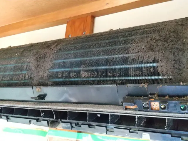 ★夏の汚れをしっかり落とします!★今だけ1000円OFFサービスの画像