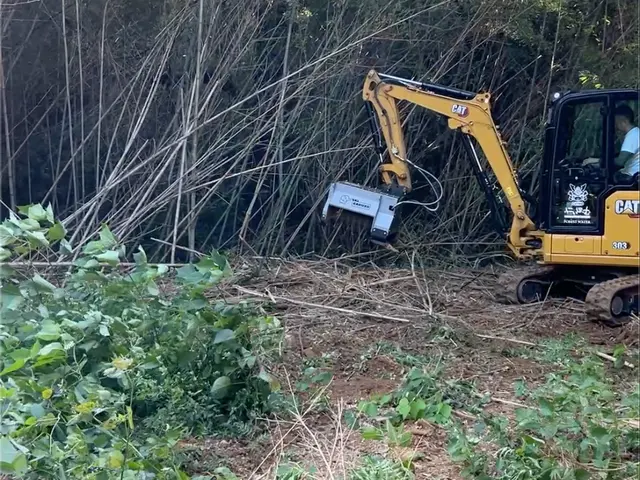 【男女2名で訪問】お庭から広大な荒廃地まで美しく再生！太い立木も対応可能です。サービスの画像