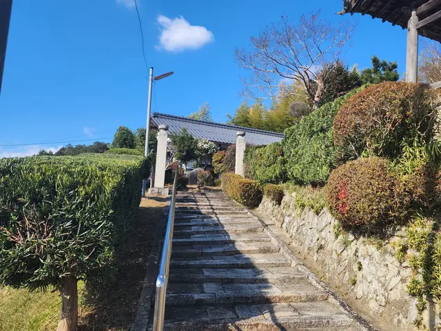 庭木の剪定サービスの画像