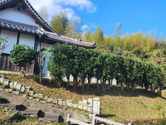 庭木の剪定サービスの画像