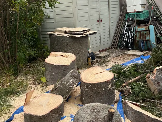 庭木の伐採　落ち葉の片付けなどサービスの画像